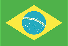 BRAZIL FLAG