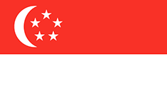 SINGAPORE FLAG